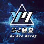 粉红色的回忆 DJ （DJ 騒皇 remix）