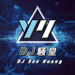 粉红色的回忆 DJ （DJ 騒皇 remix）