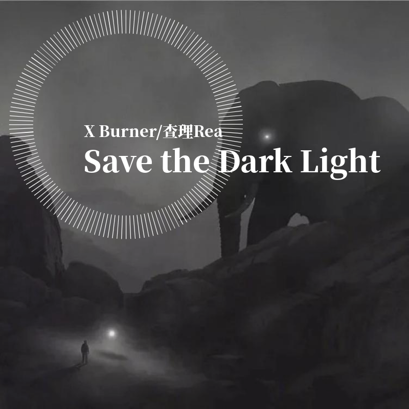 Save the Dark Light
