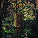 Tribe 专辑