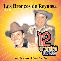 Broncos De Reynosa - Flor Del Rio (karaoke)