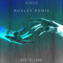 For Us (Huxley Remix)专辑