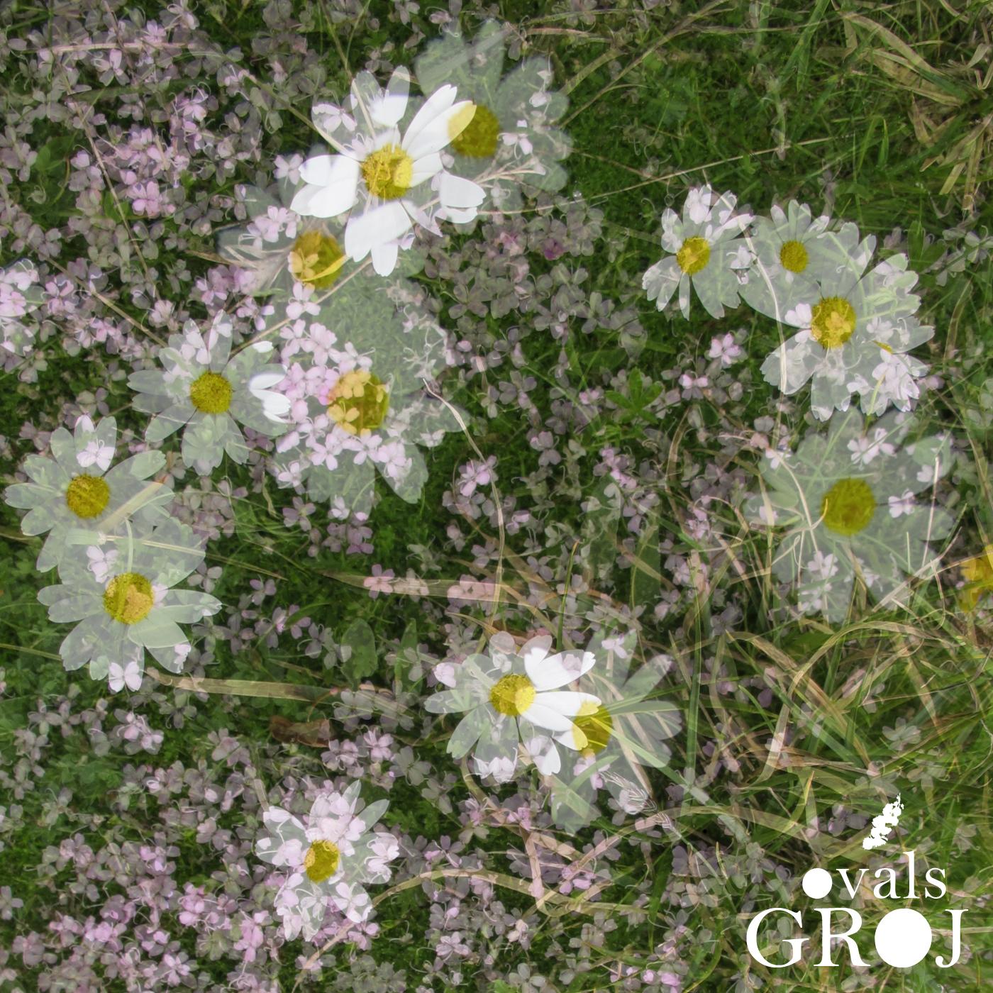 Ovals EP
