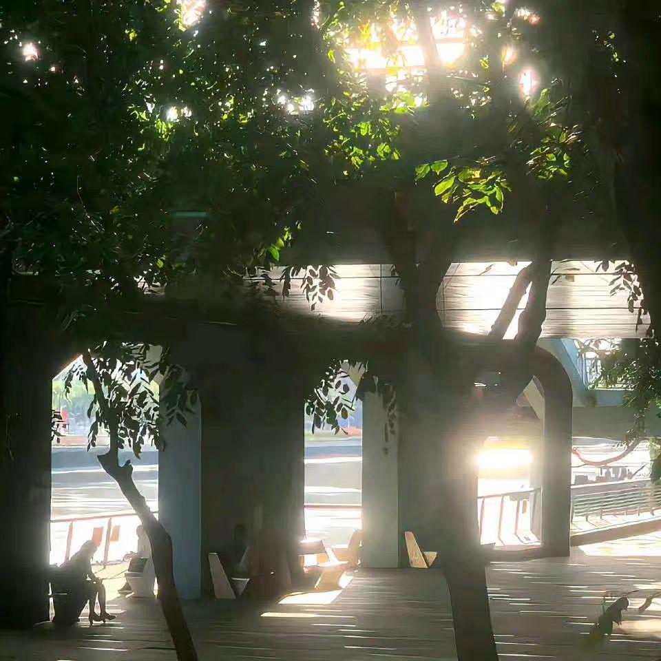 Eternal Waves (永恒的浪潮)