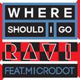 WHERE SHOULD I GO (FEAT. MICRODOT) 