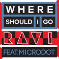 WHERE SHOULD I GO (FEAT. MICRODOT) 