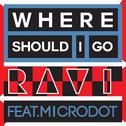 WHERE SHOULD I GO (FEAT. MICRODOT) 专辑