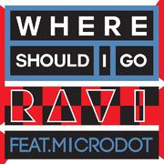 WHERE SHOULD I GO (FEAT. MICRODOT) 