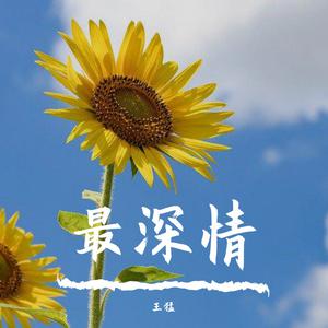 高斌 - 讽刺(原版立体声伴奏)