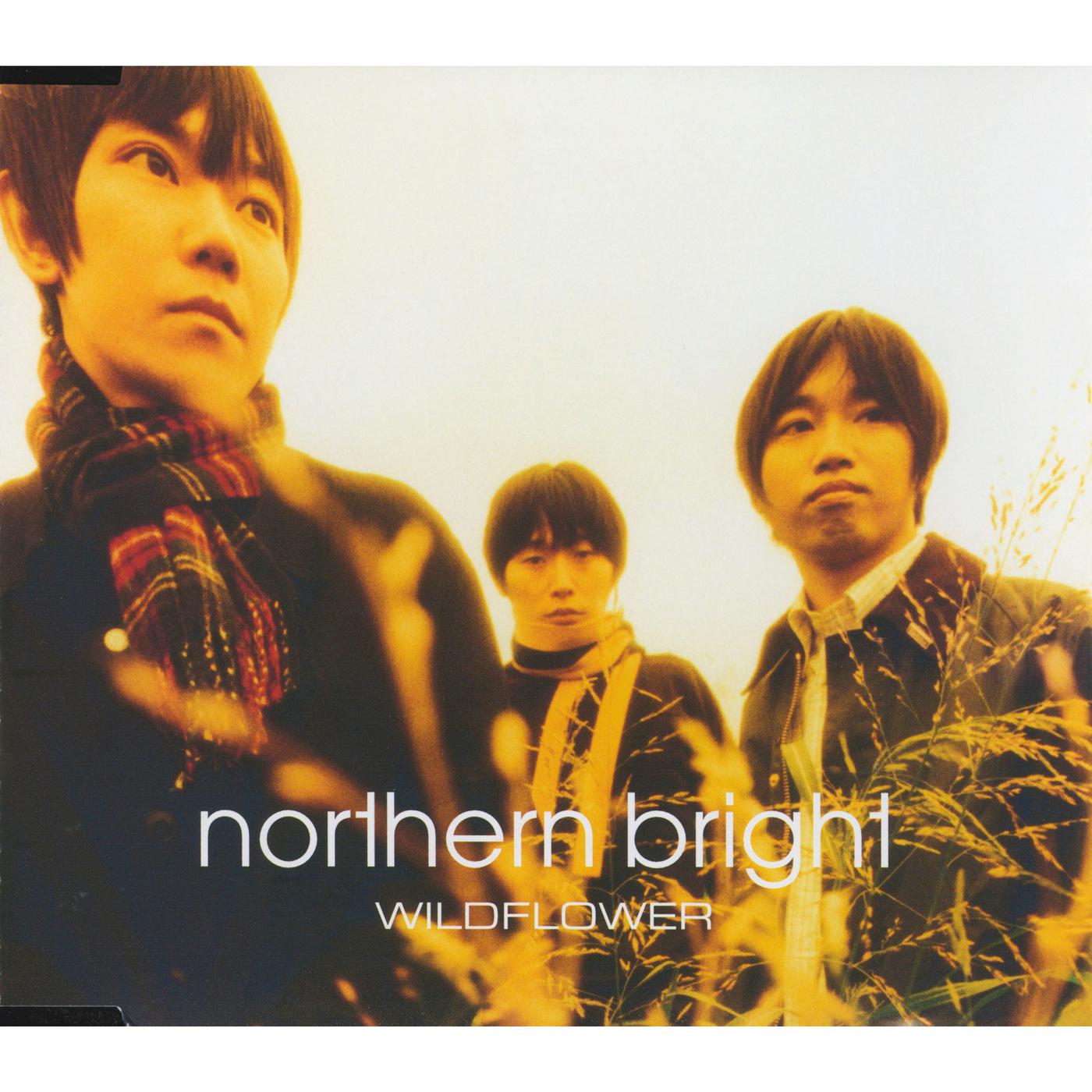 NORTHERN BRIGHT - Wildflower