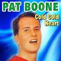 Pat Boone - Cold Cold Heart