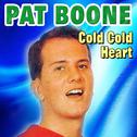 Pat Boone - Cold Cold Heart专辑