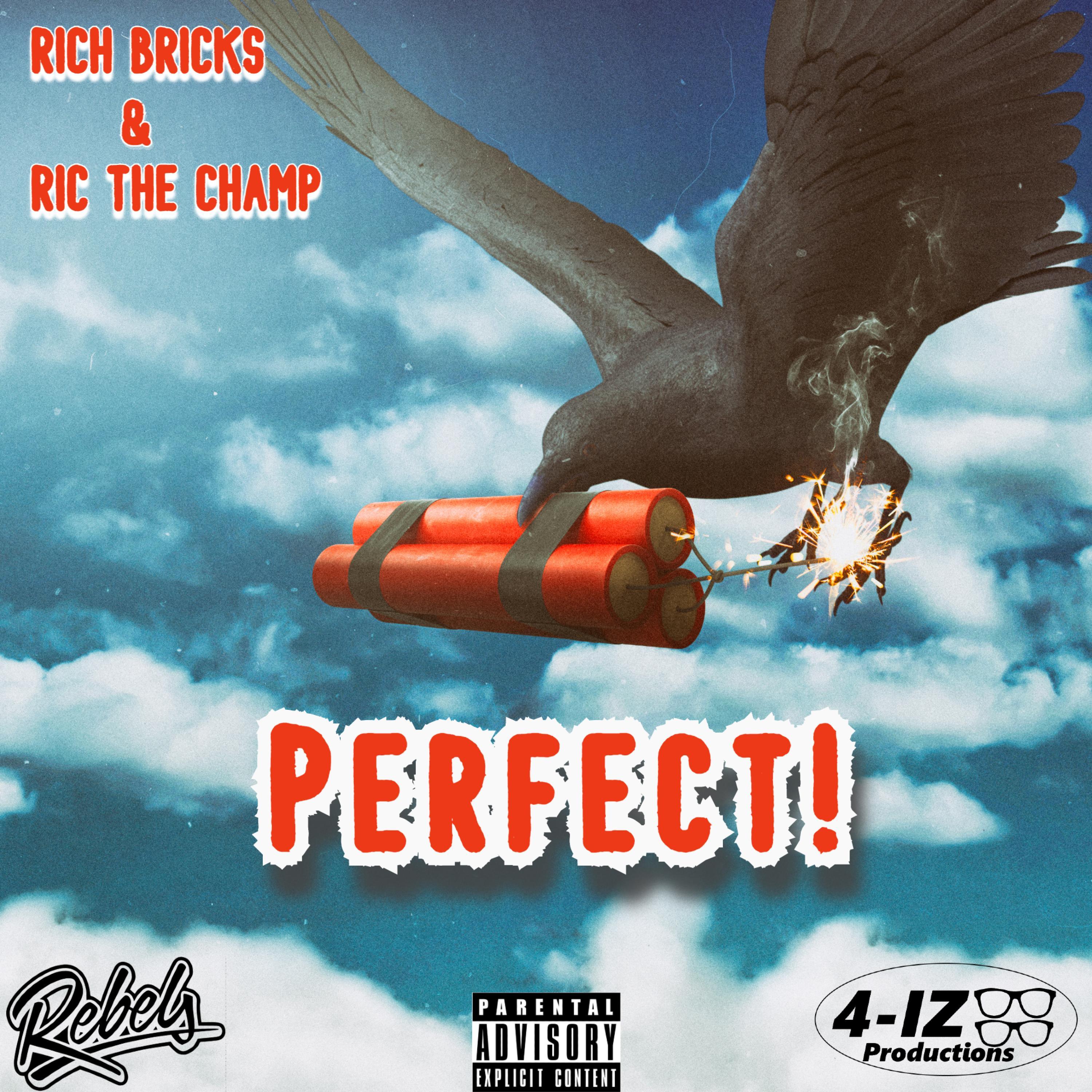 Perfect! (feat. Ric The Champ & Rich Bricks)