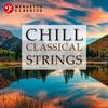 Bamberg String Orchestra - L'estro armonico in D Minor, Op. 3, No. 11, RV 565: I. Allegro-Adagio-Allegro