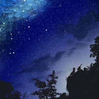 纯音乐｜学习日记VOL.8