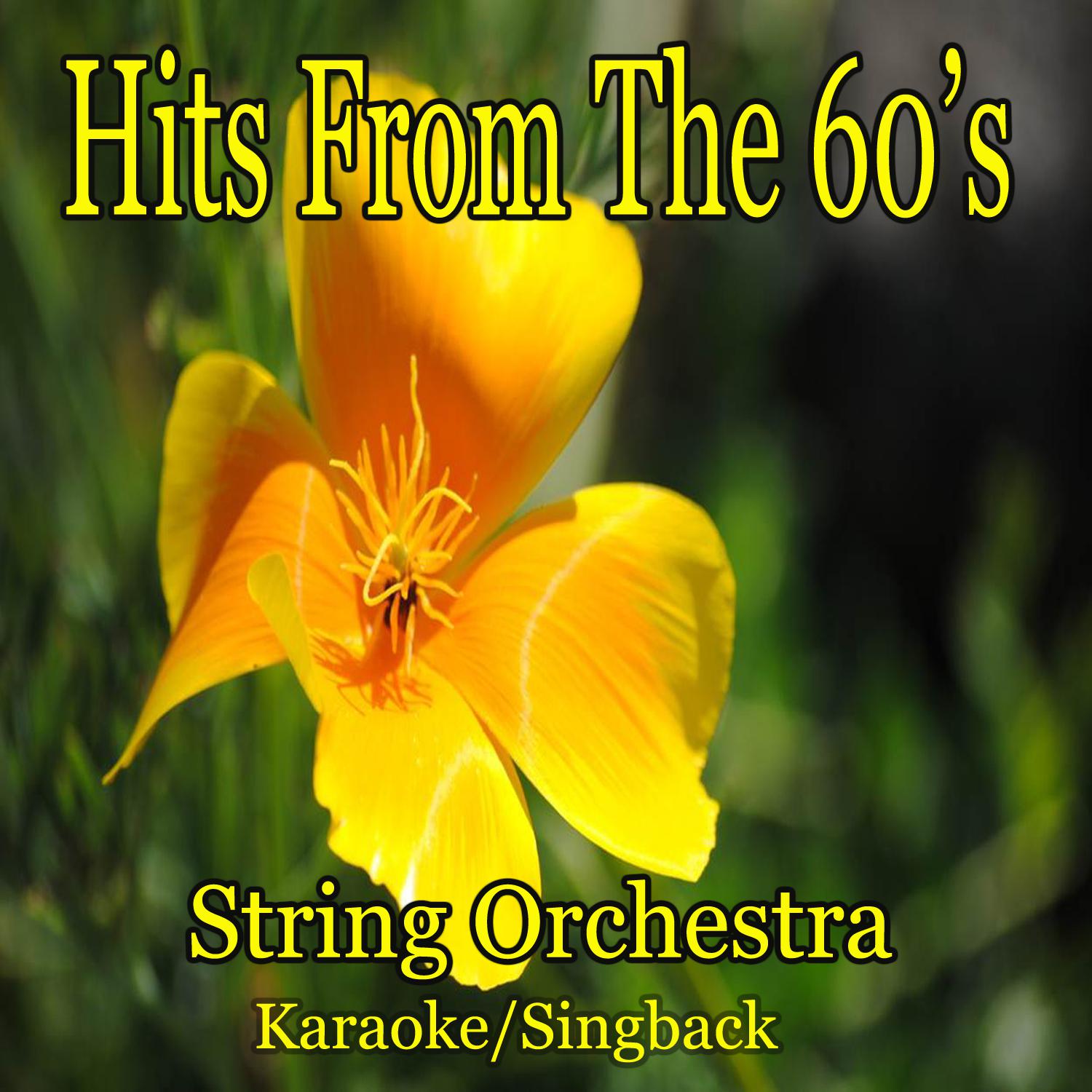 String Orchestra - Corinne Corinna (Instrumental)