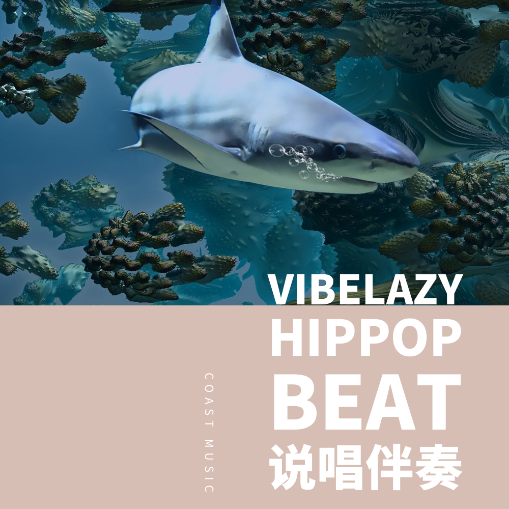 VIBE LAZY HIPPOP BEAT 说唱伴奏