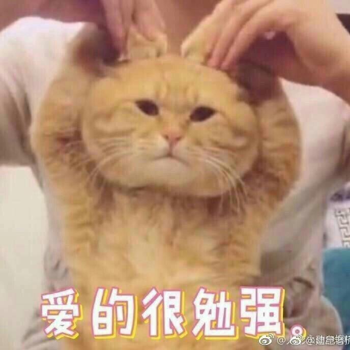 开车路上陪爸妈听的