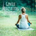 Gentle Meditation Melodies专辑