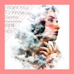 I Want To You Know （Eremite Remix )专辑