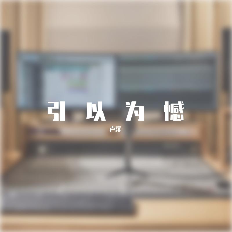 引以为憾