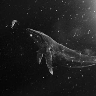 国产后摇 | 巨鲸落 万物生