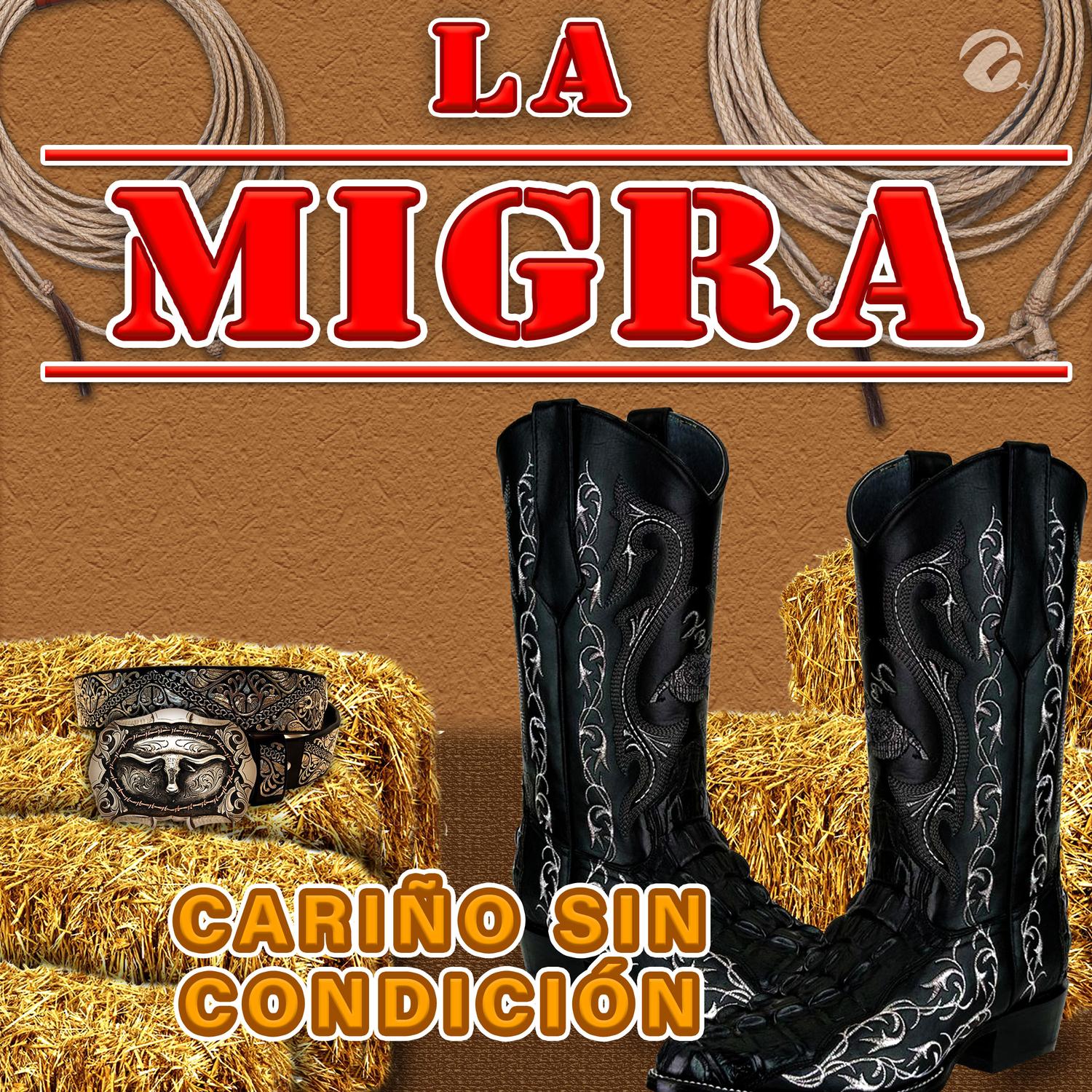 Cariño Sin Condición