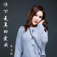 张书瑶 - 你不是真的爱我(原版立体声伴奏)