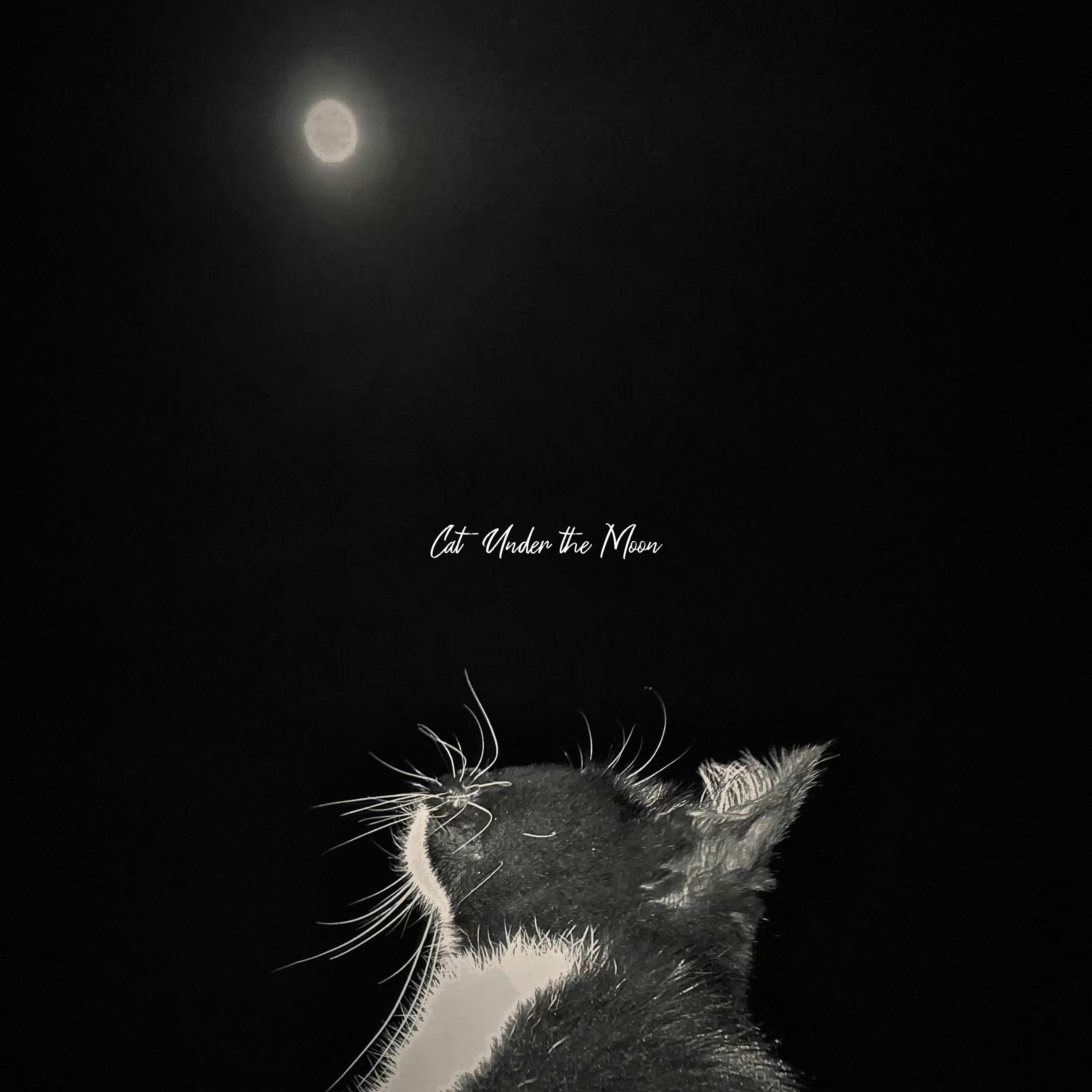 Cat Under the Moon