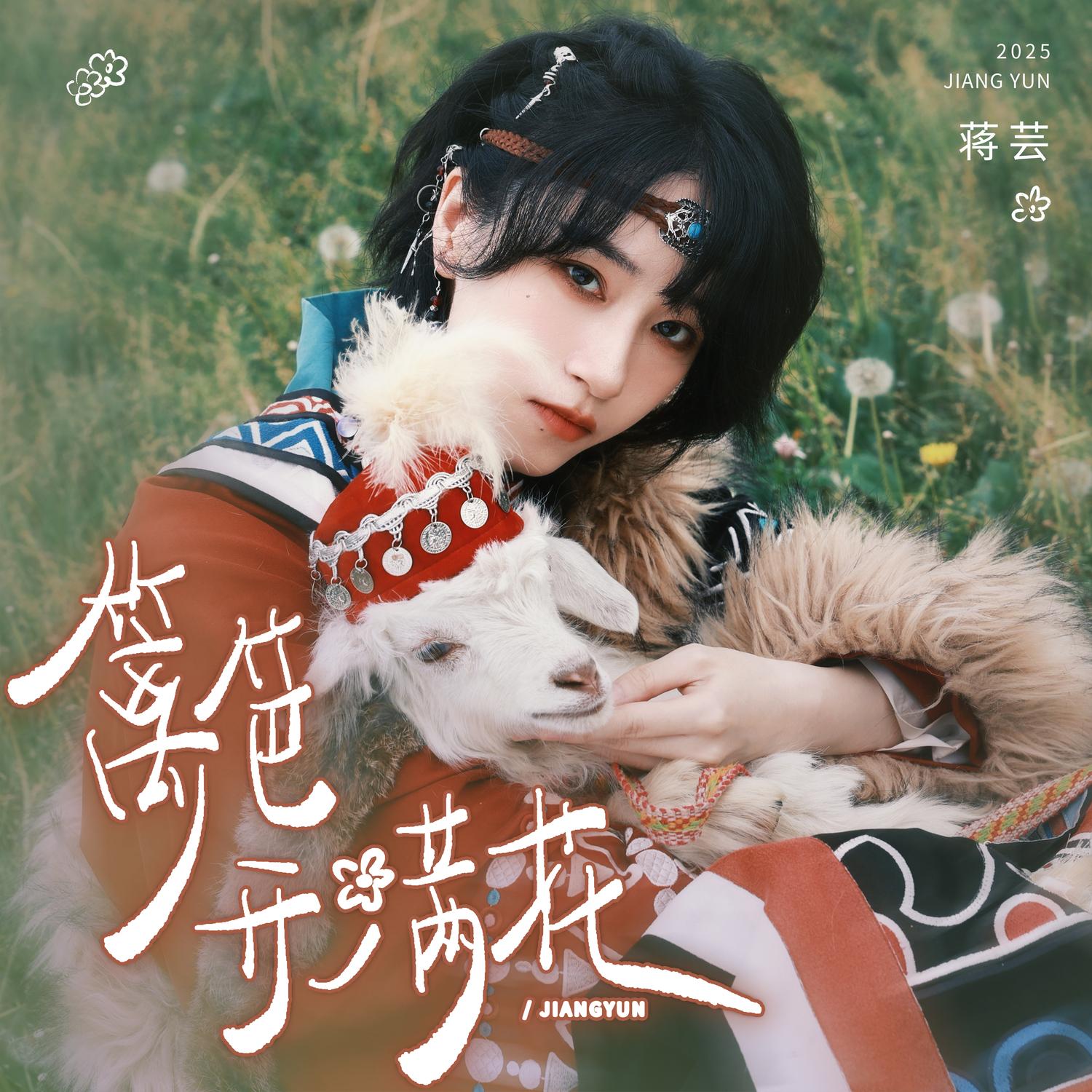 篱笆开满花