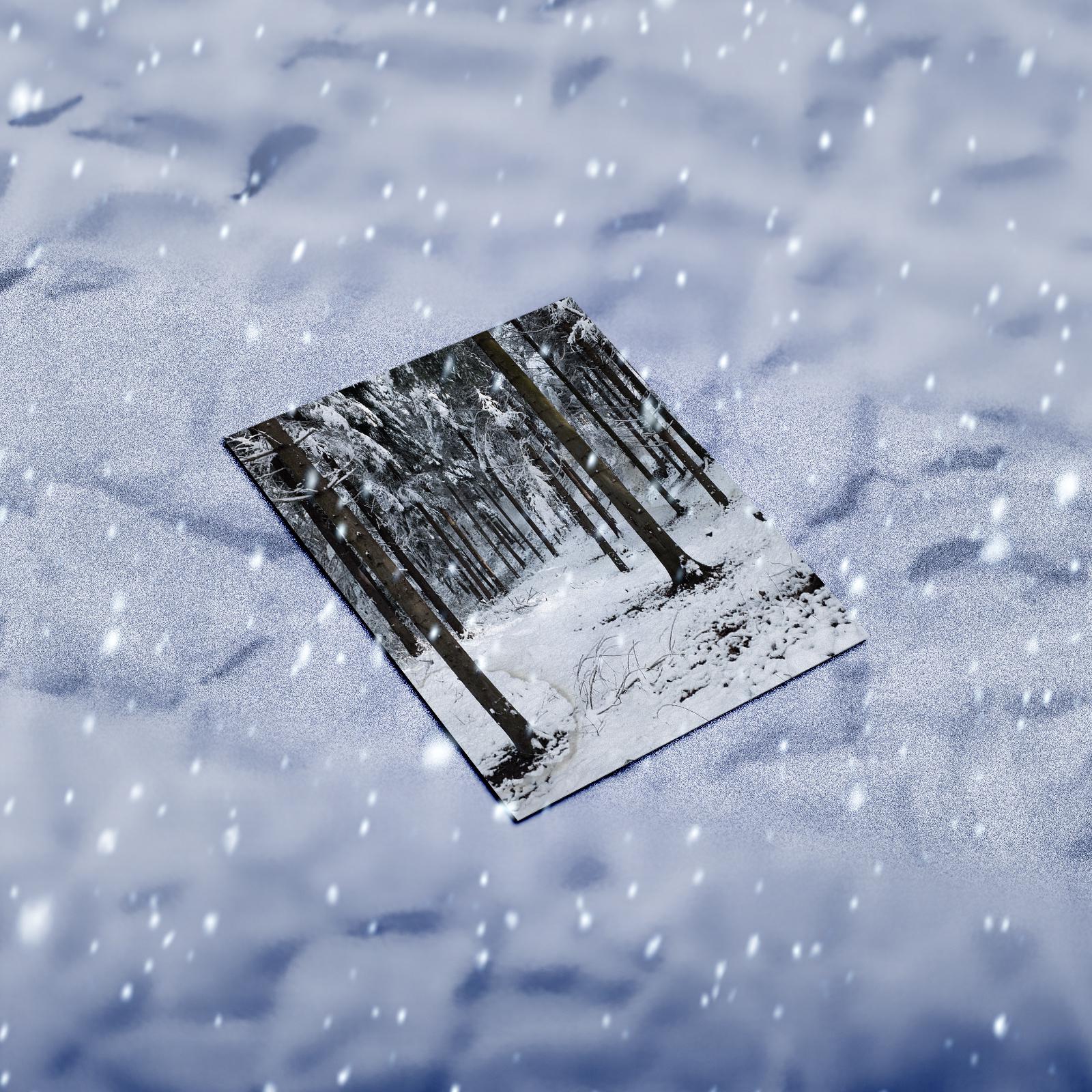 the snowy days