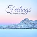 Relaxation Nature Feelings: 2019 Nature Music with Instrumental Melodies for Relax, Rest and Calm Ne