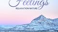 Relaxation Nature Feelings: 2019 Nature Music with Instrumental Melodies for Relax, Rest and Calm Ne专辑