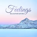 Relaxation Nature Feelings: 2019 Nature Music with Instrumental Melodies for Relax, Rest and Calm Ne专辑