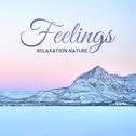 Relaxation Nature Feelings: 2019 Nature Music with Instrumental Melodies for Relax, Rest and Calm Ne专辑