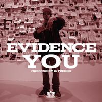 You - Evidence ( Instrumental )