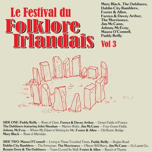The Fureys - Green Fields Of France (Karaoke) 带和声伴奏 （升8半音）