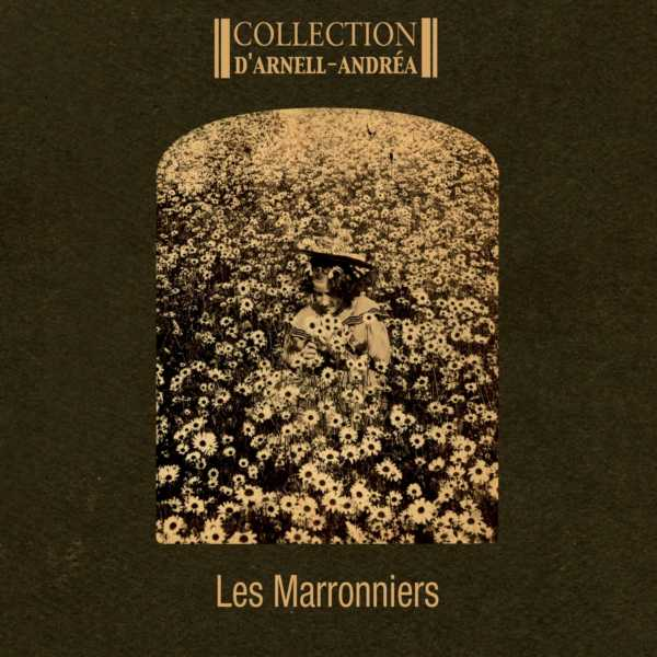 Les Marronniers
