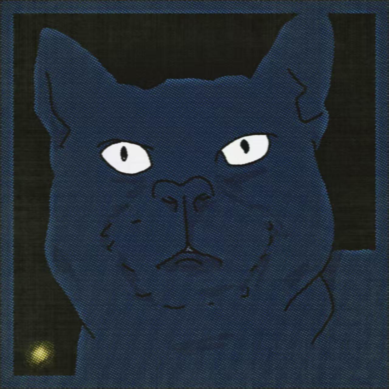 Kitty,Kitty Why u Sad？