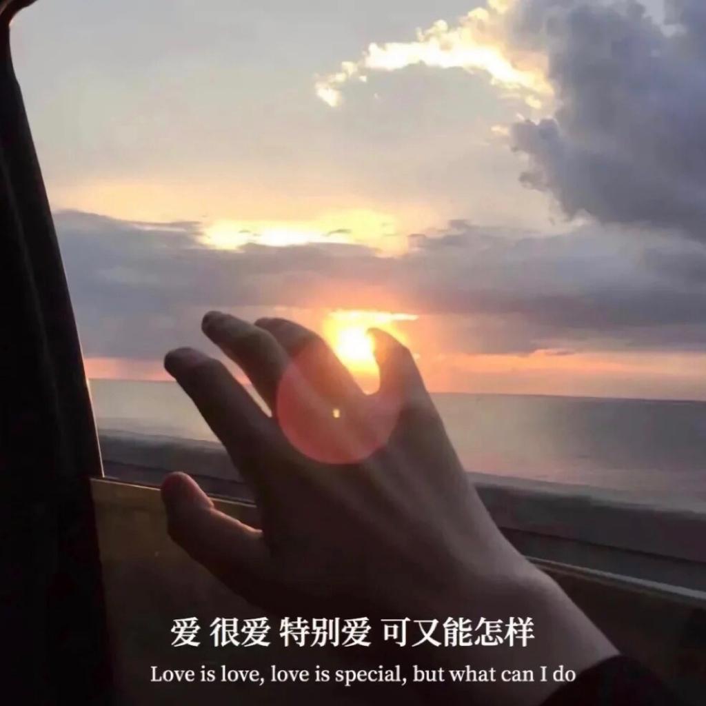 还是想依偎在你的怀里去看人间 | 在线播放 | 网易云音乐
