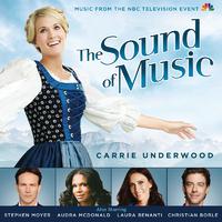 My Favorite Things - The Sound of Music (PT Instrumental) 无和声伴奏