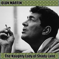 The Naughty Lady Of Shady Lane - Dean Martin (karaoke)