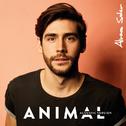 Animal (Acoustic Version)专辑