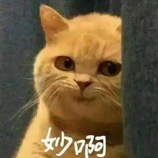 你的颜文字表情歌单已上线