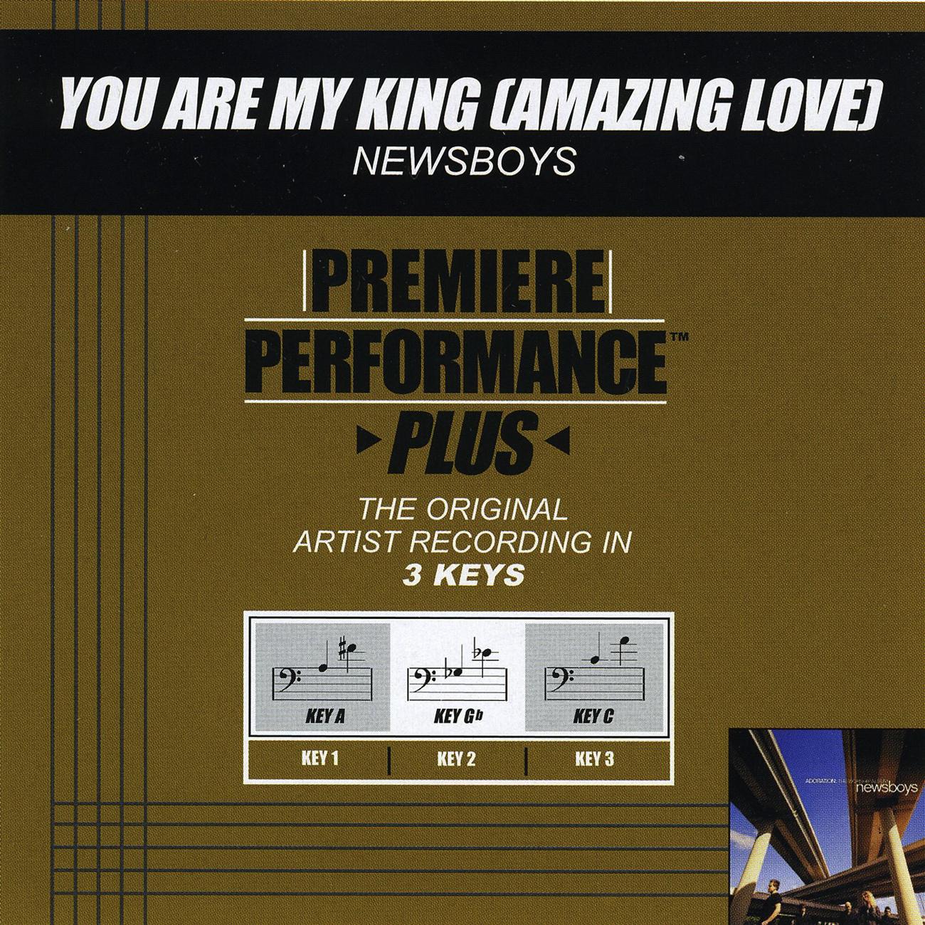 Premiere Performance Plus: You Are My King (Amazing Love)专辑