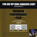 Premiere Performance Plus: You Are My King (Amazing Love)