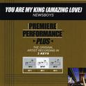 Premiere Performance Plus: You Are My King (Amazing Love)专辑