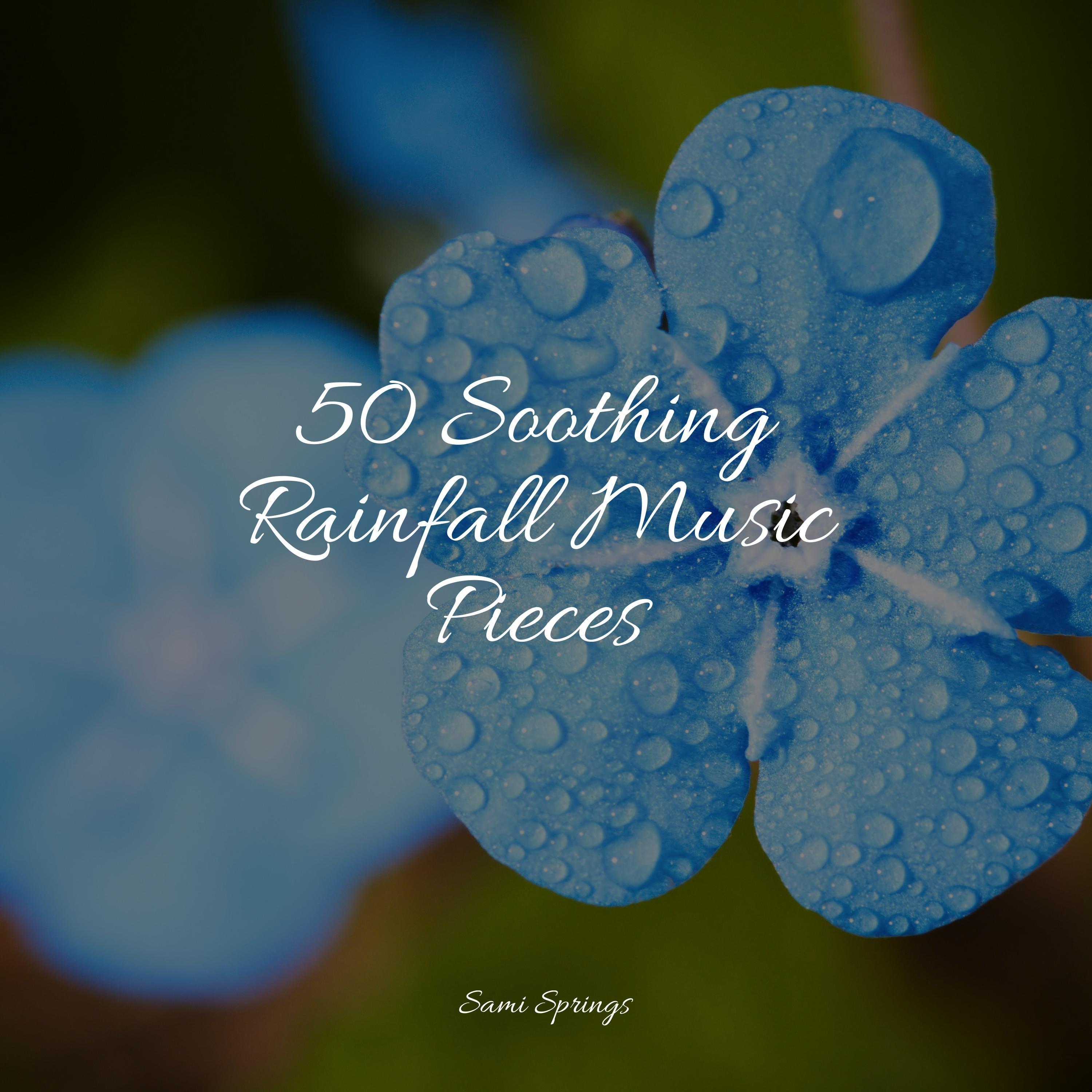 50 Soothing Rainfall Music Pieces