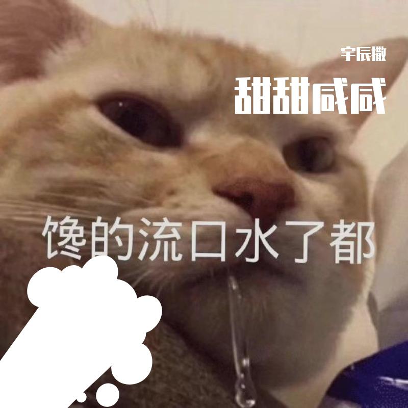 宇辰撒 - 甜甜咸咸