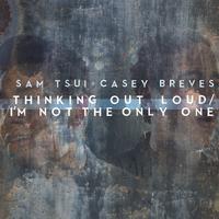 原版伴奏  Thinking Out Loud   I\\'m Not The Only One - Sam Tsui Feat. Casey Breves (karaoke Version)